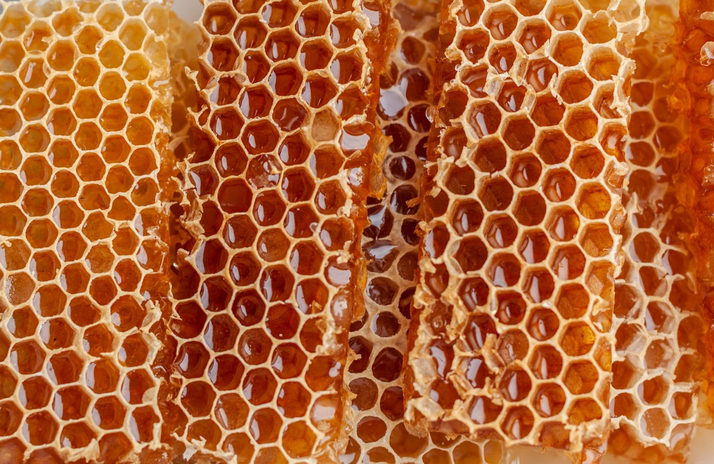 Jalea real: el suplemento natural que necesitas