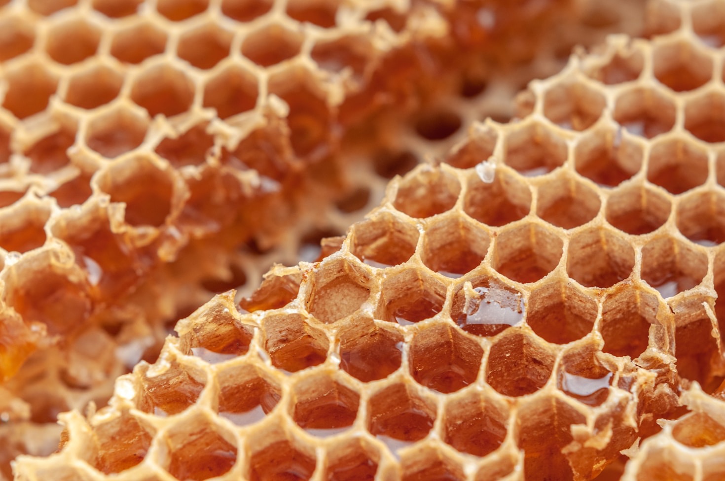 Cera de abeja: usos y beneficios sorprendentes